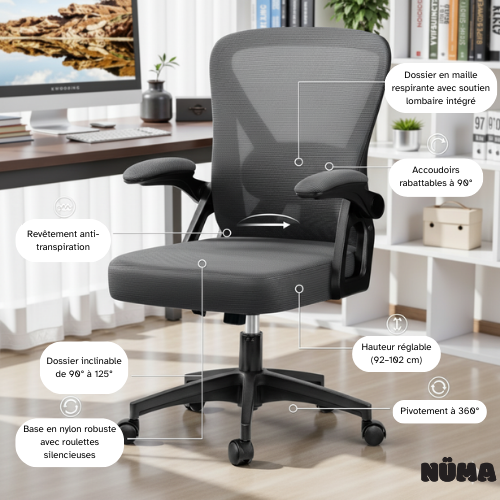 Lyra – Chaise de bureau ergonomique