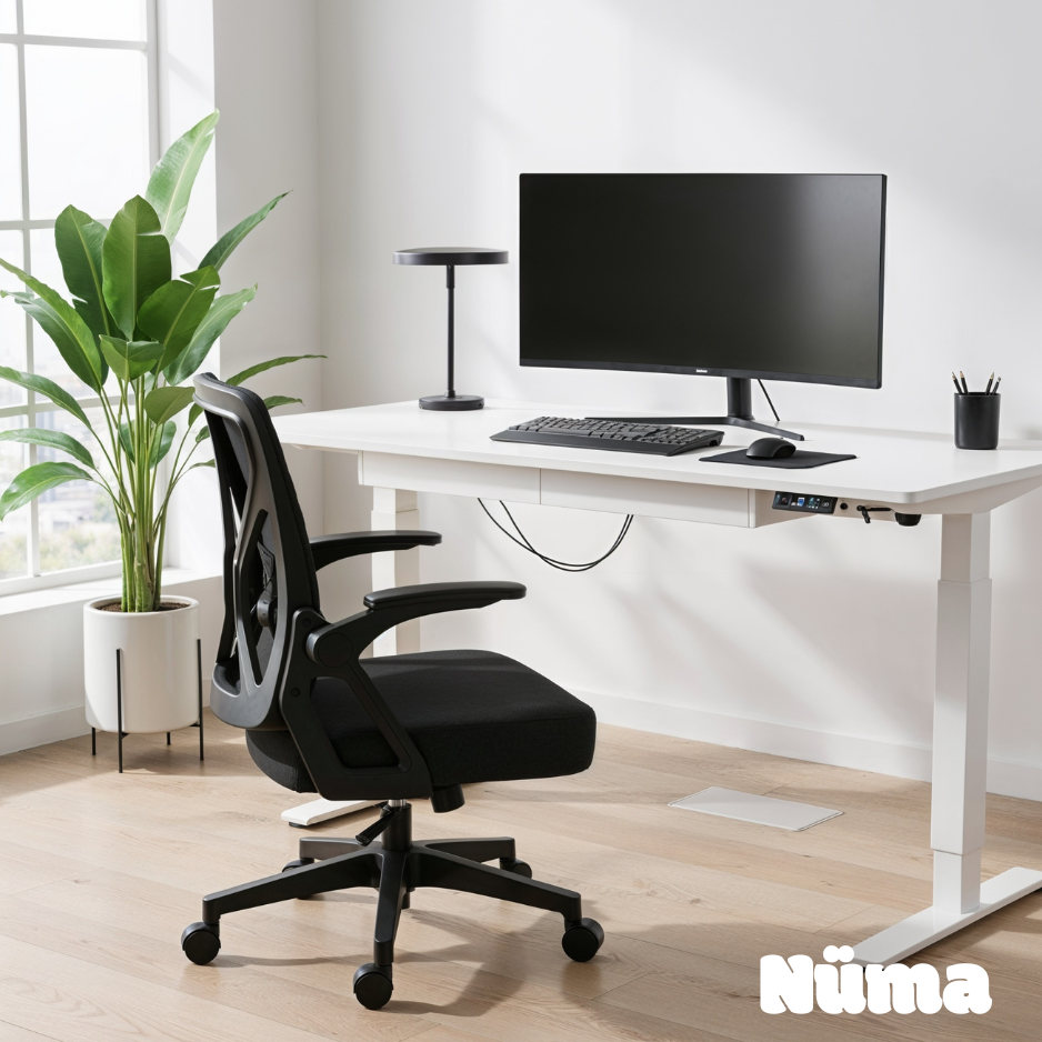 Chaise de bureau ergonomique Premium Lyra