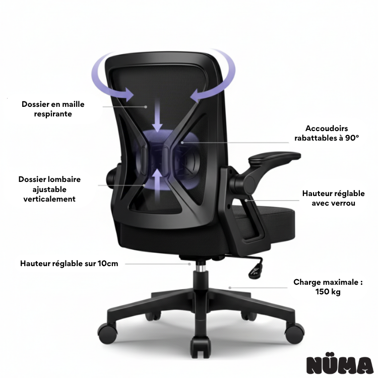 Chaise de bureau ergonomique Premium Lyra