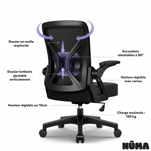 Chaise de bureau ergonomique Premium Lyra